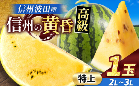 信州波田産 甘いスイカ! 信州の黄昏 ( 金色羅皇 ) [特上] 2L〜3Lサイズ 1玉|ふるさと納税 長野県 信州 松本 果物 フルーツ すいか スイカ 西瓜 大きい 特別 珍しい 黄色スイカ 贈答 季節限定 甘い くだもの ふるーつ