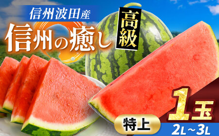 信州波田産 贈答用 高級スイカ!信州の癒し [特上] 2L〜3Lサイズ 1玉|ふるさと納税 長野県 信州 松本 果物 フルーツ すいか スイカ 西瓜 新鮮 大きい 特別 贈答 季節限定 甘い くだもの ふるーつ