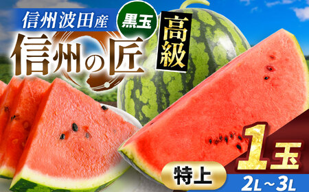 信州波田産 高級スイカ!信州の匠 [特上] 2L〜3Lサイズ 1玉|ふるさと納税 長野県 信州 松本 果物 フルーツ すいか スイカ 西瓜 新鮮 大きい 特別 贈答 季節限定 甘い くだもの ふるーつ