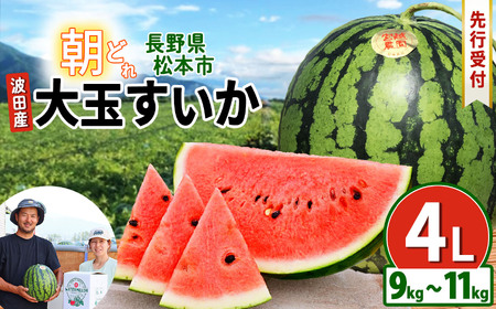 [先行受付:2026年発送]松本市 波田産 大玉すいか 4L(9kg〜11kg)│ 信州 松本市 長野県 西瓜 すいか 果物 大玉 スイカ フルーツ くだもの 新鮮 果汁 ジューシー 大きい ふるーつ