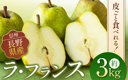 [先行予約]お好みの硬さをドンピシャで。皮ごと食べられる ラフランス 3kg | 西洋梨 長野県 松本市 信州産 梨 ラフランス 果物 くだもの フルーツ ふるーつ
