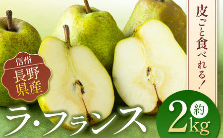 [先行予約]お好みの硬さをドンピシャで。皮ごと食べられる ラフランス 2kg | 西洋梨 長野県 松本市 信州産 梨 果物 くだもの フルーツ ふるーつ
