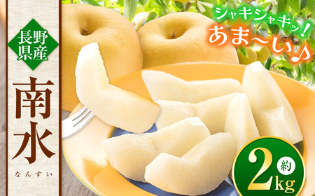 [先行予約]信州生まれの優れもの!糖度15度。超甘い、シャリ感、硬い、ジューシー、日保ちする「南水(なんすい)」2kg | 長野県 松本市 信州産 ナシ 梨 和梨 南水 フルーツ ふるーつ 甘い ジューシー 糖度15度