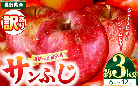 [11月下旬発送]農園応援企画 訳アリ サンふじ 3kg ( 6 〜 12玉 )|りんご アップル 松本市 家庭用 フードロス サンふじ りんご 林檎 人気 果物 フルーツ 信州 美味しい 訳アリ 長野県