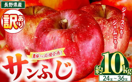 [11月下旬発送]農園応援企画 訳アリ サンふじ 10kg(24〜36玉)|りんご アップル 松本市 家庭用 フードロス サンふじ りんご 林檎 人気 果物 フルーツ 信州 美味しい 訳アリ 長野県