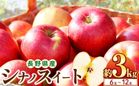 [10月上旬発送]シナノスイート 3kg(6〜12玉)|ふるさと納税 松本市 シナノスイート りんご 林檎 果物 フルーツ 信州 美味しい