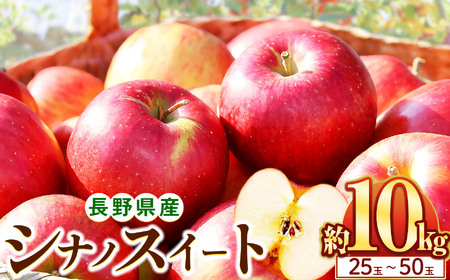 y10{zVimXC[g 10kg(25`50)bӂ邳Ɣ[ {s VimXC[g  ь ʕ t[c MB 
