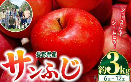 [11月下旬発送]サンふじ 3kg(6〜12玉)|ふるさと納税 松本市 サンふじ りんご 林檎 果物 フルーツ 信州 美味しい