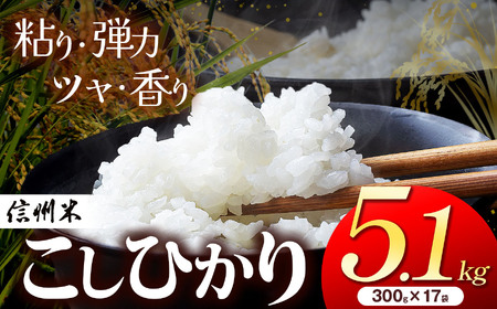 MB{Y Ђ  5.1kg i2300g×17 ) MB {s   RVqJ Ђ AvX Y 쌧Y   ӂ c _ ӂ邳Ɣ[ {s 