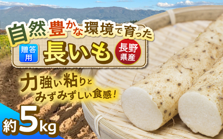 MB{Y ̃L`  p 5kg b  Ȃ 蕨  Mtg  Ƃ T_ VN R f MB 쌧 { ӂ邳Ɣ[