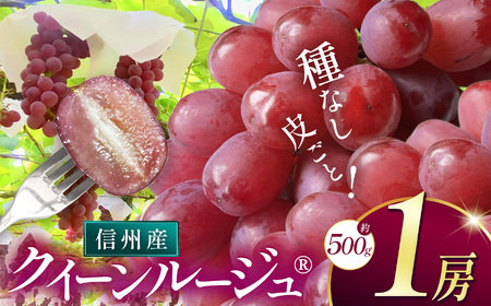 クイーンルージュ ®︎(約500g)|ふるさと納税 松本市 ぶどう 葡萄 クイーンルージュ®︎ 果物 フルーツ 種無し 新鮮 信州産