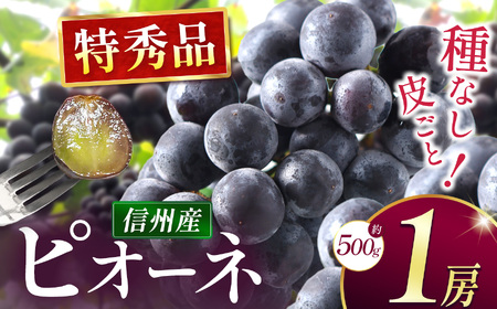 種なしピオーネ 1房(約500g)|ふるさと納税 松本市 ぶどう 種なしぶどう ピオーネ 果物 濃厚 農家 自然 ビタミン 地元 新鮮