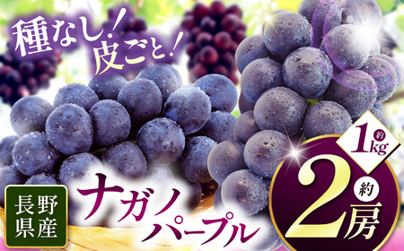 [先行受付]2026年発送 信州産 ナガノパープル 2房(約1kg)|ふるさと納税 松本市 ぶどう 葡萄 ナガノパープル 果物 フルーツ 種無し 新鮮 信州産