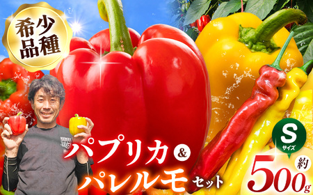 パプリカ&パレルモ(希少品種) Sセット 約500g | パプリカ パレルモ 野菜 希少 ジューシー フレッシュ ヘルシー ふるさと納税 信州 長野県 松本市