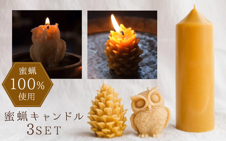 [信州産蜜蝋100%]蜜蝋キャンドルセット | キャンドル きゃんどる 蝋 蝋燭 ロウソク ハンドメイド インテリア フクロウ 鉛筆 松ぼっくり 長野県 松本市