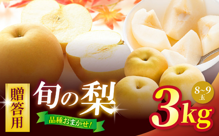 �y2026�N��s�\��z �����p �M�B���{���Y ���y�K���E�L���E�쐅�z���܂����l�ߍ��킹�Z�b�g ��3kg(�W�`�X�ʁj �b�t���[�c �ʕ� �Â� �����p �� �Ȃ� �K�� �L�� �쐅