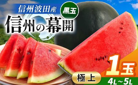 【先行受付】信州波田産 贈答用 黒玉スイカ！信州の幕開 【極上】 4L～5Lサイズ 1玉