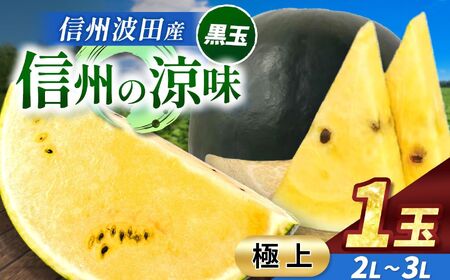 [先行受付:2026年7月発送]信州波田産 高級 黒玉スイカ !信州の涼味 [極上] 2L〜3Lサイズ 1玉|ふるさと納税 長野県 信州 松本 果物 フルーツ すいか スイカ