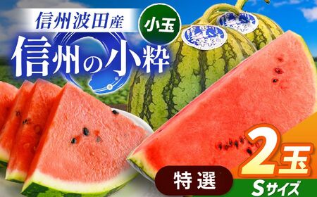 [先行受付:2026年7月発送]信州波田産 小玉スイカ!信州の小粋 [特選] 2玉 Sサイズ|ふるさと納税 長野県 信州 松本 果物 フルーツ すいか スイカ