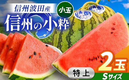 【先行受付】信州波田産 小玉スイカ ！信州の小粋 【特上】 2玉 Sサイズ