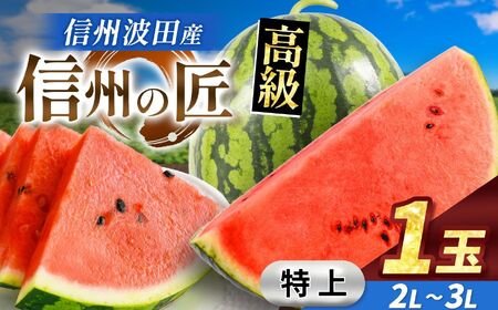 [先行受付:2026年7月発送]信州波田産 高級スイカ !信州の匠 [特上] 2L〜3Lサイズ 1玉
