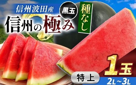 [先行受付:2026年7月発送]信州波田産 種無し黒玉スイカ!信州の極み [特上] 2L〜3Lサイズ 1玉