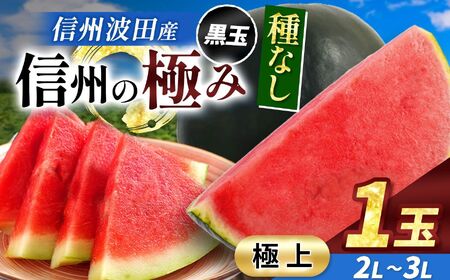[先行受付:2026年7月発送]信州波田産 種無し黒玉スイカ!信州の極み [極上] 2L〜3Lサイズ 1玉
