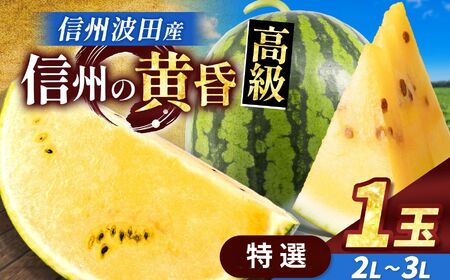 【先行受付：2026年7月発送】信州波田産 甘いスイカ！ 信州の黄昏 ( 金色羅皇 ) 【特選】 2L～3Lサイズ 1玉