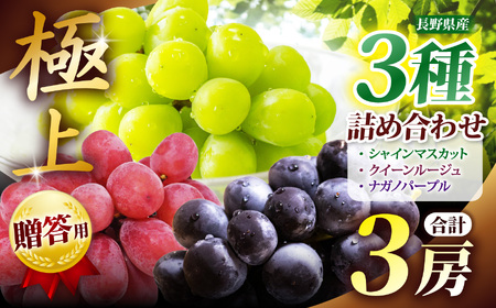 [先行予約]贈答用 信州産 葡萄[詰み合わせ]3房[シャインマスカット、ナガノパープル、クイーンルージュⓇ]