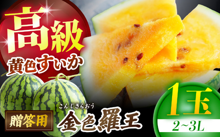 2026年先行予約 信州松本平産 贈答用 高級黄色すいか[金色羅王(こんじきらおう)2〜3L 1個]〜黄金色に輝く、夏の宝玉。信州の清流と太陽が育てた奇跡一玉〜 │ すいか スイカ 野菜 夏 金色羅王 果物 新鮮 贈答用 長野県 松本 ふるさと納税 先行予約