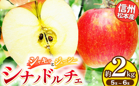 [先行受付:2026年発送]信州松本産 シナノドルチェ 5〜6玉 約2kg