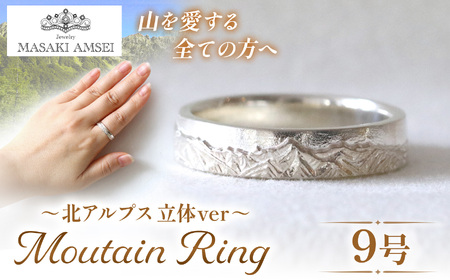 〔立体〕北アルプスのリング 9号