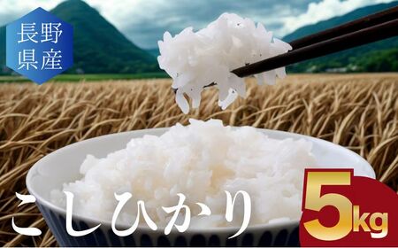 こしひかり 白米 5kg