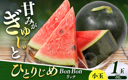 [先行受付]松本市 波田産 小玉すいか ひとりじめBonBonリッチ 3L(2kg〜2.5kg)1玉