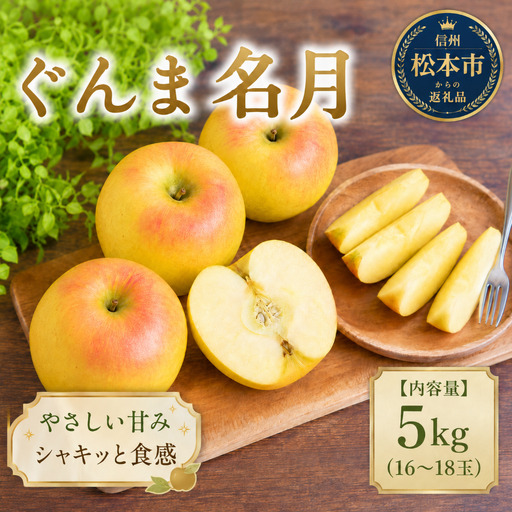 [先行受付]ぐんま名月 5kg(16〜18玉)