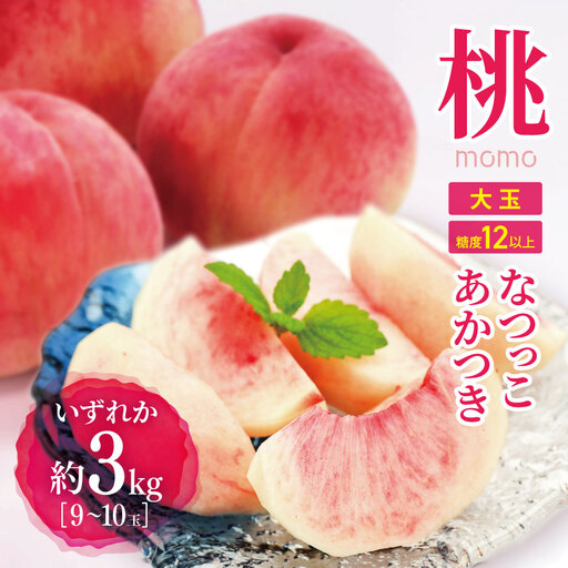 [先行受付]信州産桃 旬の桃(なつっこorあかつき)大玉 3kg(9〜10玉)