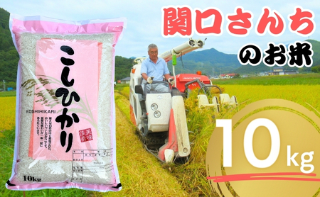 米 令和5年 関口さんちのお米 コシヒカリ 10kg お米 こめ コメ 精米 白米 ご飯 こしひかり 長野 信州