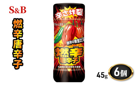 S&B 燃辛唐辛子 45g 6個 セット 詰め合わせ エスビー食品 エスビー SB 唐辛子 唐辛子パウダー とうがらし 唐辛子粉 激辛 スパイス 調味料 信州 長野 長野県 上田市