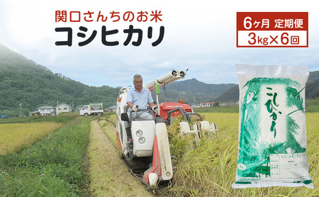 米 定期便 6ヶ月 関口さんちのお米 コシヒカリ 3kg お米 こめ コメ 精米 白米 ご飯 こしひかり 長野 信州 6回 半年 お楽しみ