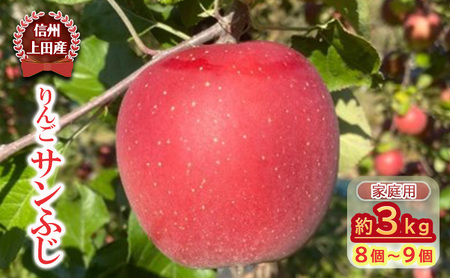 りんご 信州上田産 サンふじ 家庭用 約3kg 8～9個 林檎 リンゴ 3kg サンフジ 果物 くだもの フルーツ デザート 旬の果物 旬のフルーツ 傷 長野県 長野