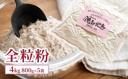 全粒粉 4kg (800g×5袋) 国産 信州産 大容量 小麦 粉 お菓子作り パン作り パスタ 食物繊維 信州 長野 長野県 上田市