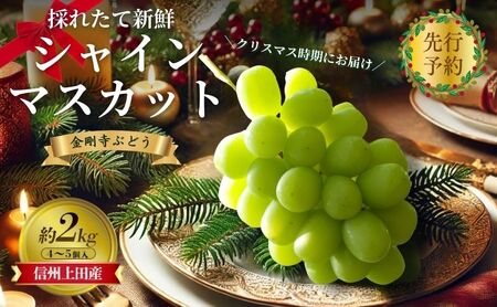 2025年先行予約　クリスマスにお届け！ シャインマスカット 信州上田産金剛寺ぶどう 約2kg 4～5房 ぶどう 葡萄 ブドウ マスカット 2kg 果物 くだもの フルーツ デザート 旬の果物 旬のフルーツ 長野県 