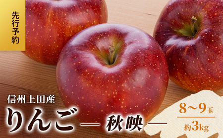 りんご 信州上田産 秋映 家庭用 約3kg 8〜9玉 リンゴ 林檎 3kg 果物 くだもの フルーツ デザート 旬の果物 旬のフルーツ 傷 長野県 長野 上田市