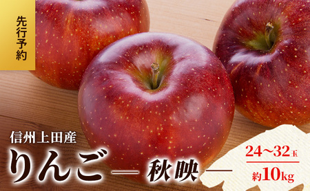 りんご 信州上田産 秋映 家庭用 約10kg 24～32玉 リンゴ 林檎 10kg 果物 くだもの フルーツ デザート 旬の果物 旬のフルーツ 傷 長野県 長野 上田市
