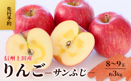 りんご 信州上田産 サンふじ 家庭用 約3kg 8〜9玉 リンゴ 林檎 3kg サンフジ 果物 くだもの フルーツ デザート 旬の果物 旬のフルーツ 傷 長野県 長野 上田市