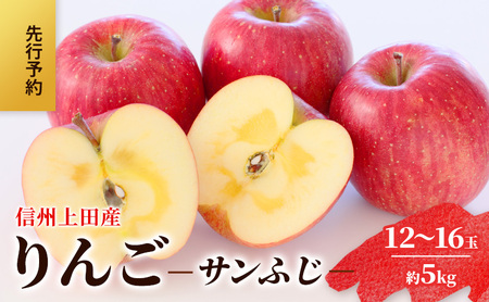  MBcY Tӂ ƒp 5kg 12`16 S ь 5kg TtW ʕ  t[c fU[g {̉ʕ {̃t[c  쌧  cs