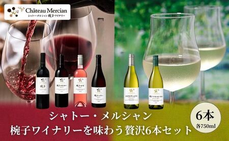 シャトー・メルシャン 椀子ワイナリーを味わう6本セット ワイン 赤ワイン 白ワイン ロゼワイン お酒 酒 アルコール 長野 長野県 上田市