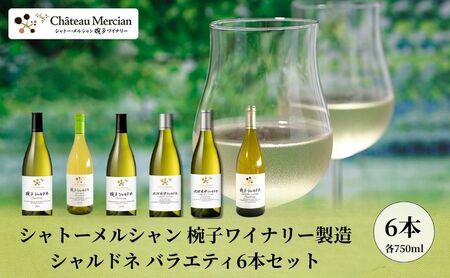 シャトー・メルシャン 椀子ワイナリー製造 シャルドネ バラエティ6本セット ワイン 白ワイン お酒 酒 アルコール 長野 長野県 上田市