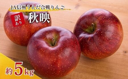 訳あり りんご JA信州うえだ 合戦りんご 秋映 約5kg（10玉～20玉） リンゴ 林檎 果物 くだもの フルーツ 信州 長野 離乳食 訳アリ わけあり 傷