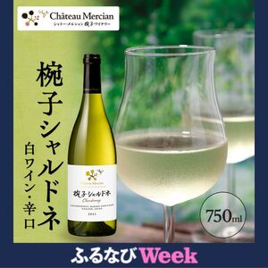 [ふるなびWEEK対象] ワイン 椀子シャルドネ 750ml シャトー・メルシャン シャルドネ 白ワイン 辛口 お酒 酒 アルコール ギフト 贈り物 プレゼント FN-Limited